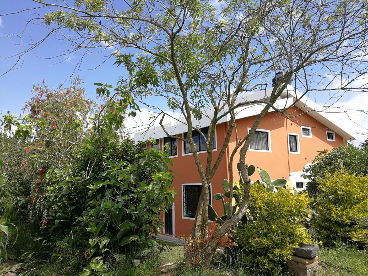 Chapelet Hostal 塔巴贝拉 外观 照片